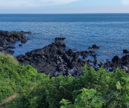 해외여행자-보험