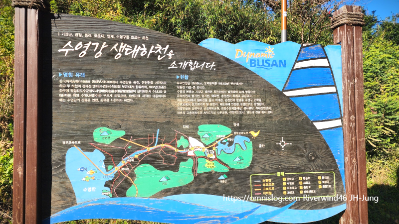 수영강 생태하천