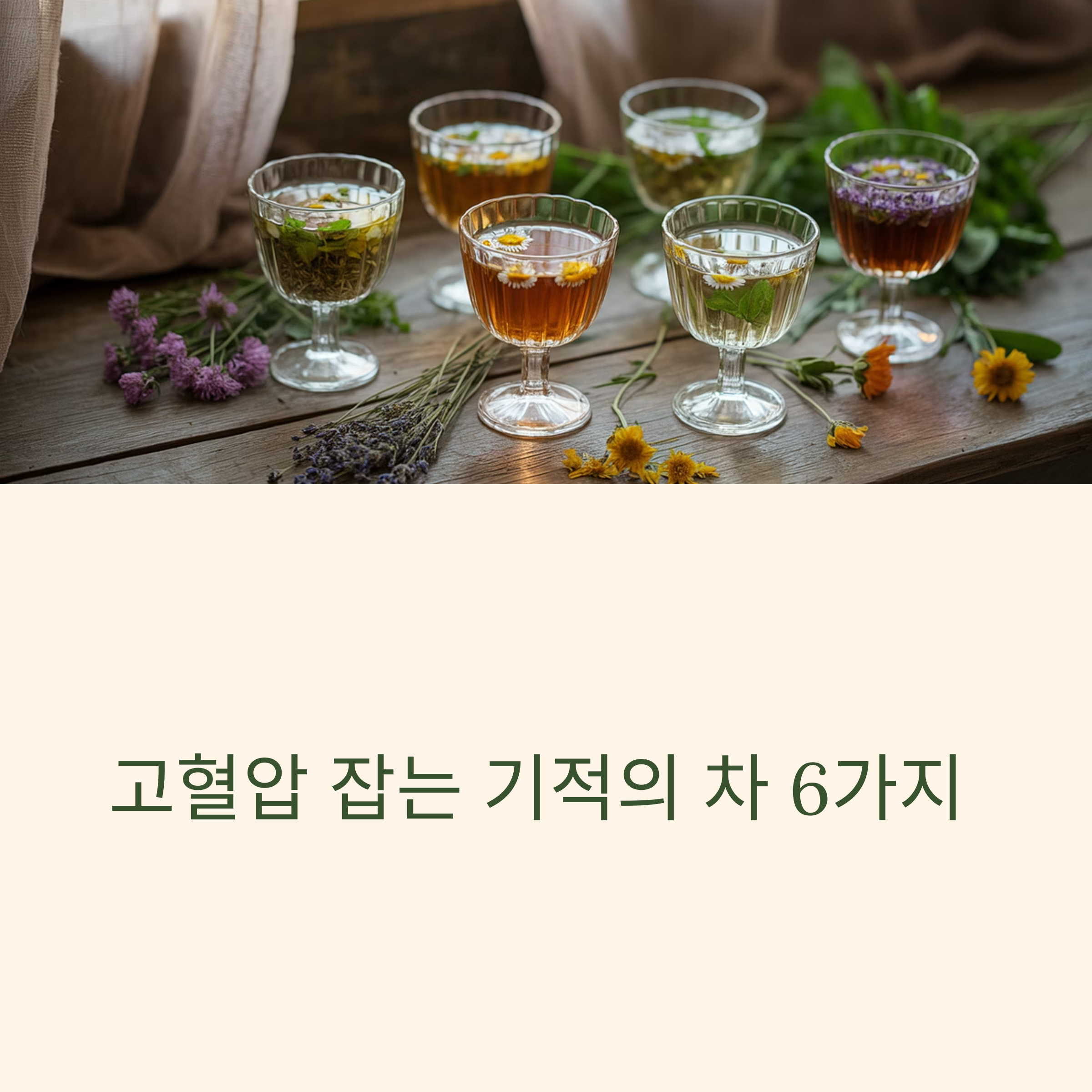 다양한 허브티가 담긴 유리잔들이 창가에 놓여 있는 따뜻한 분위기의 이미지, 고혈압 잡는 기적의 차를 시각적으로 표현