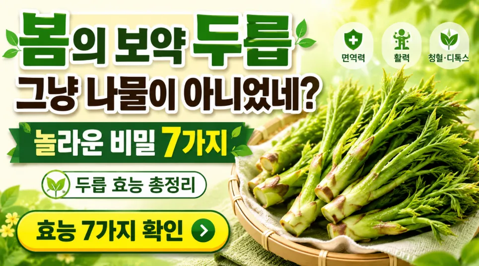 봄의 보약 두릅 효능, 그냥 나물이 아니었네? (놀라운 비밀 7가지)