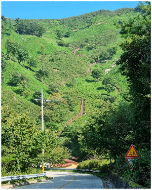 봉화산