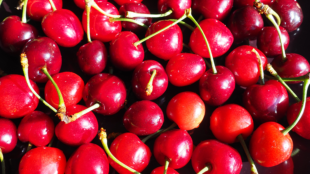 불면증에 좋은 음식