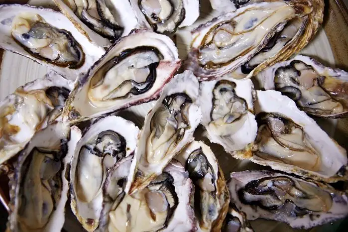 6시내고향 경남 통영 생굴 깐굴 석화 하프쉘 파는 곳 전국 택배 온라인 전화 주문 추천 