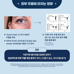 분말 콜라겐