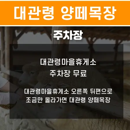 평창 가볼만한곳