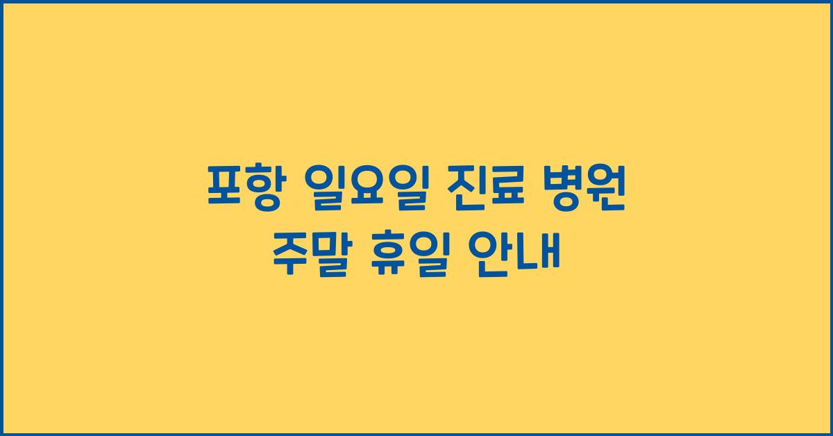 포항 일요일 진료 병원 주말 휴일