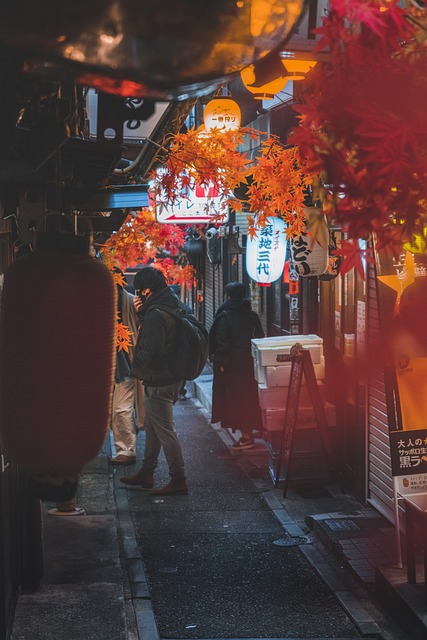 일본 관련 사진