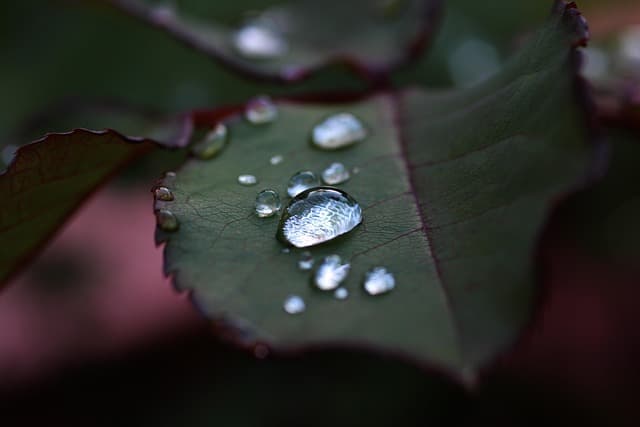 설화로 보는 전라도: 남원&middot;완주&middot;담양&middot;고창 이야기