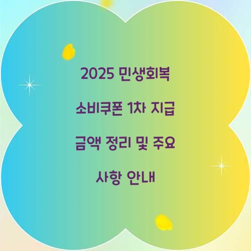 2025 민생회복 소비쿠폰 1차 지급 금액