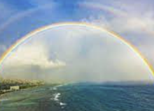 ISTP 유형 특징 분석