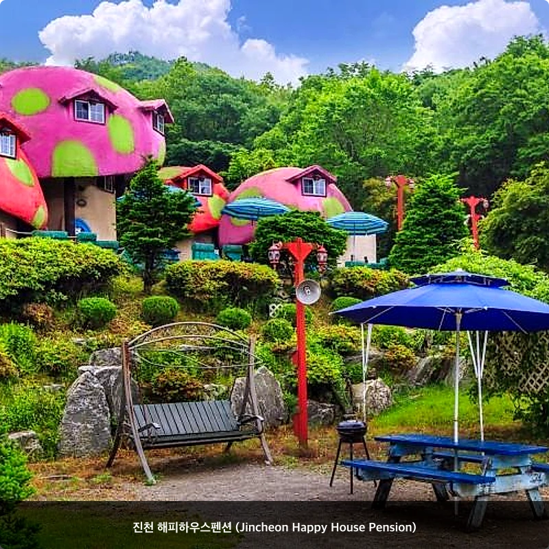 진천 해피하우스펜션 (Jincheon Happy House Pension)_5