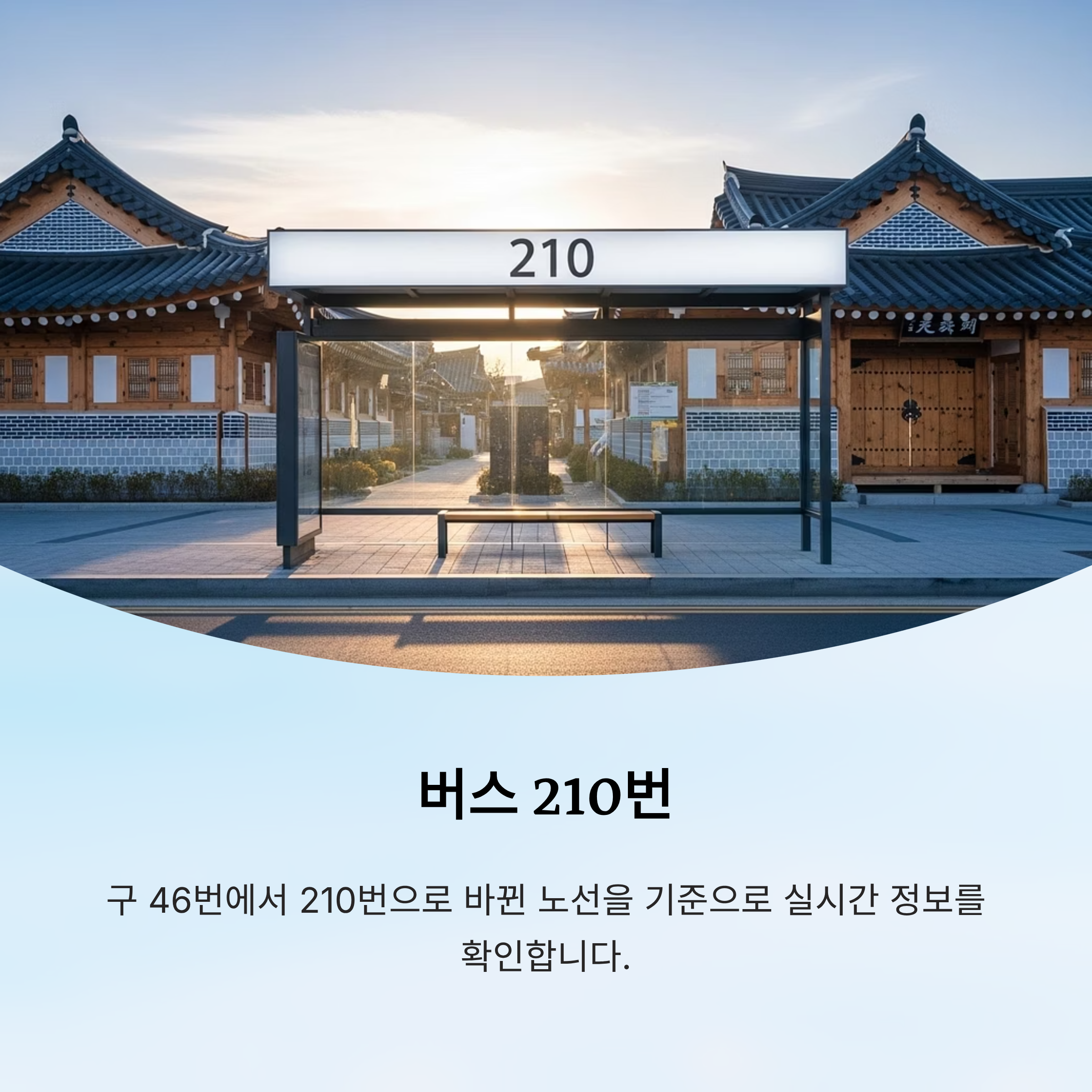 버스 210번