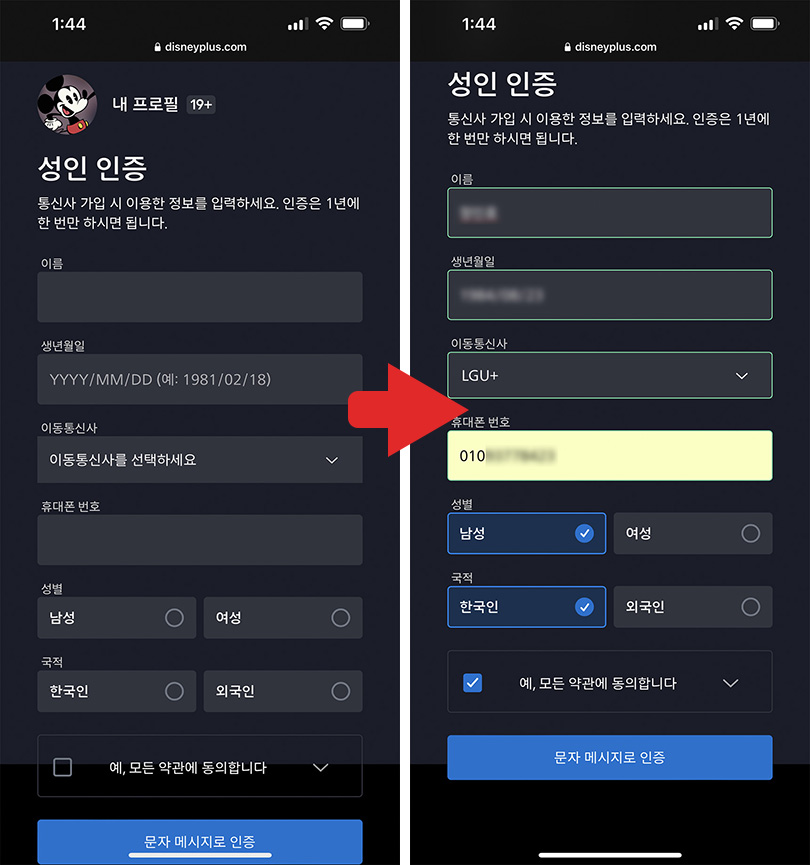 디즈니플러스-성인인증