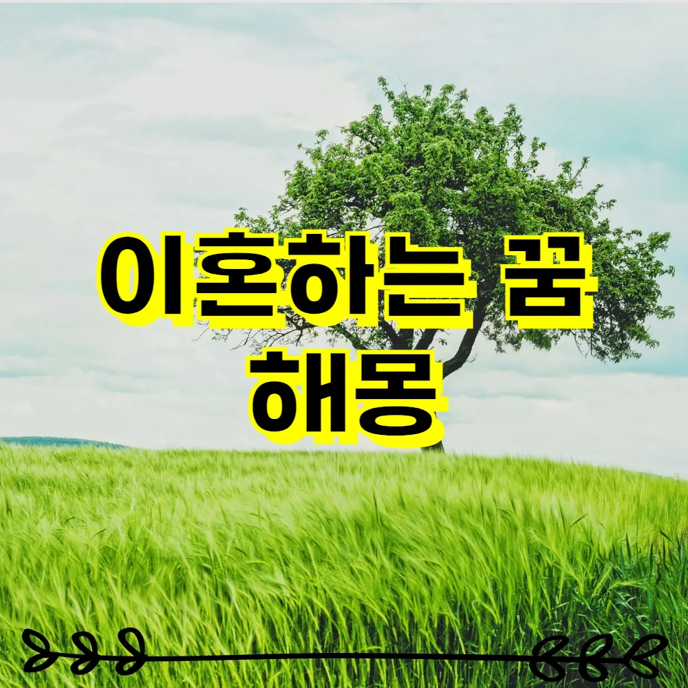 이혼하는 꿈 해몽