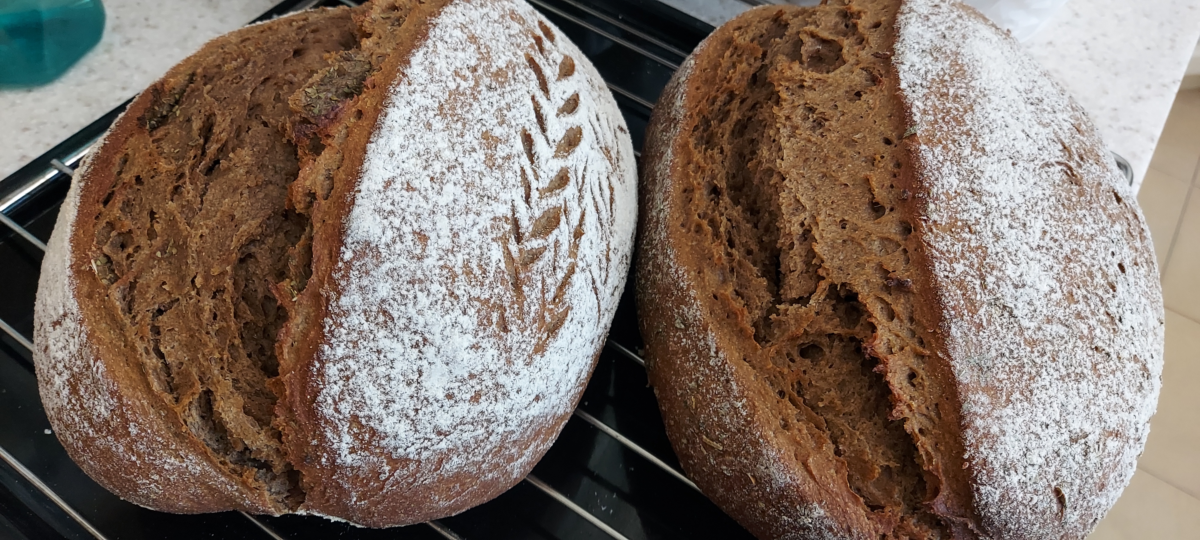 통밀과 호밀로 섞어 만든 건강한 빵