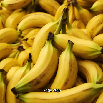 장염에 좋은 음식