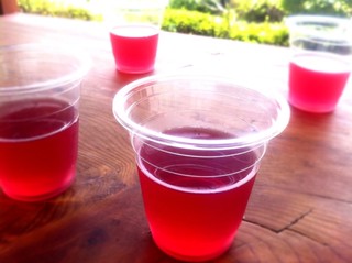 오미자차효능베스트7