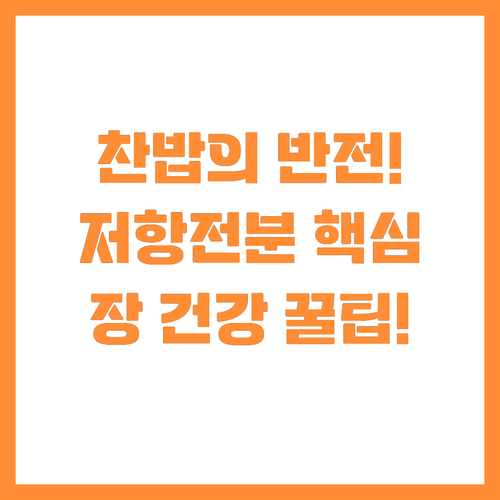 과학이 증명한 냉밥 효과 저항전분으로..