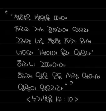 매일성경묵상과 사명(누가복음 10장 1-24절) 칠십 인의 제자를 파송하신 예수님_26