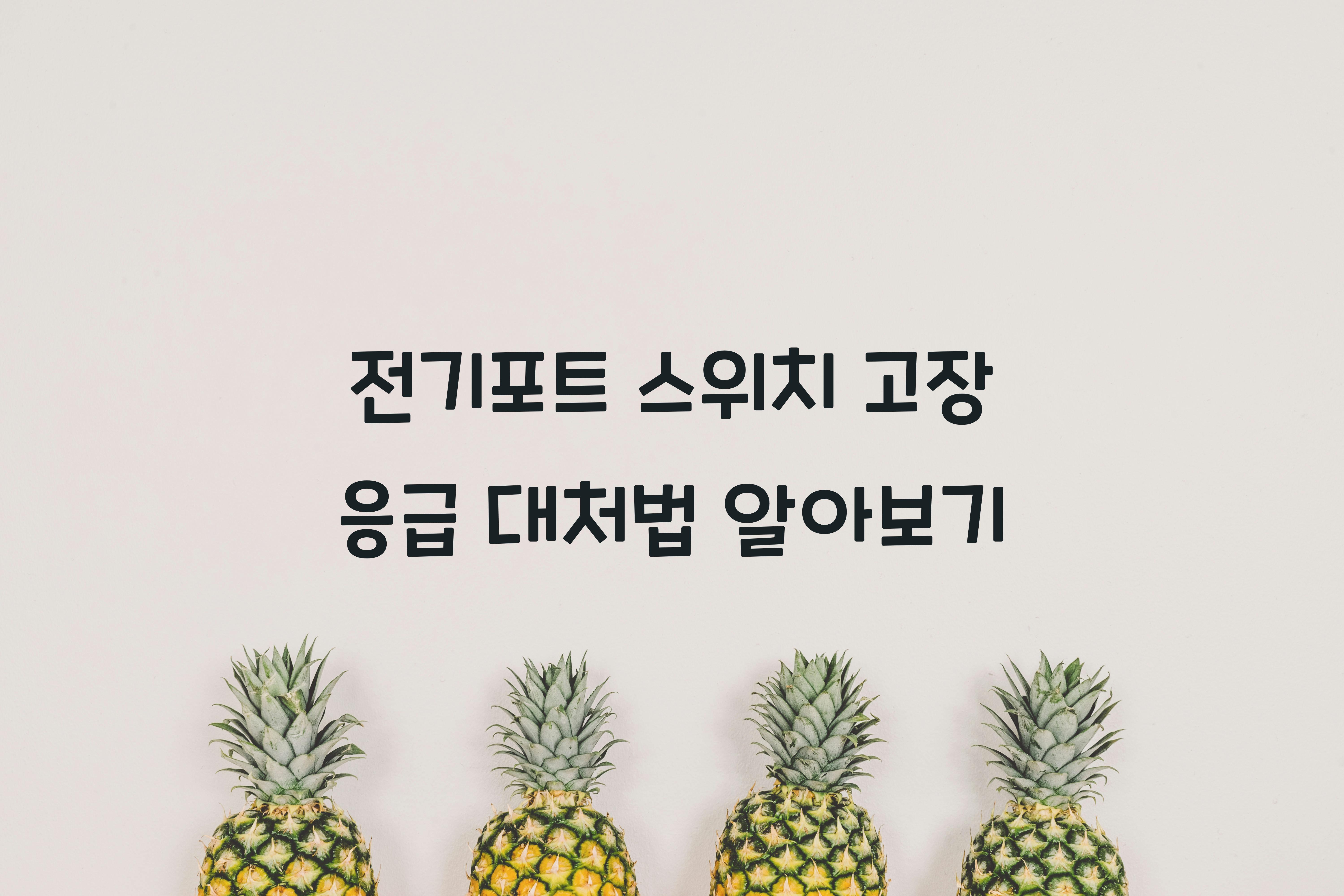 전기포트 스위치 고장 응급 대처법