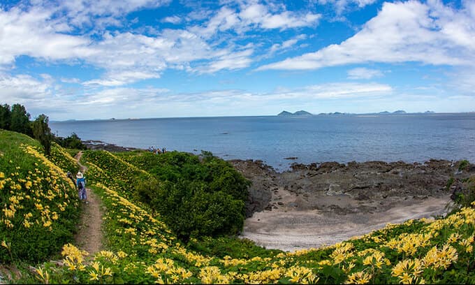 꽃보다 아름다운 섬마을, 전북 부안 ‘위도’의 봄날