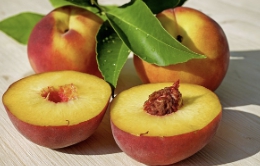 복숭아 보관방법