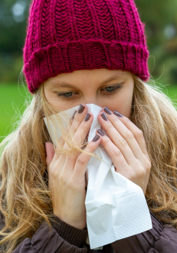 축농증 관련 사진