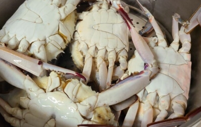 간장게장 담그는법