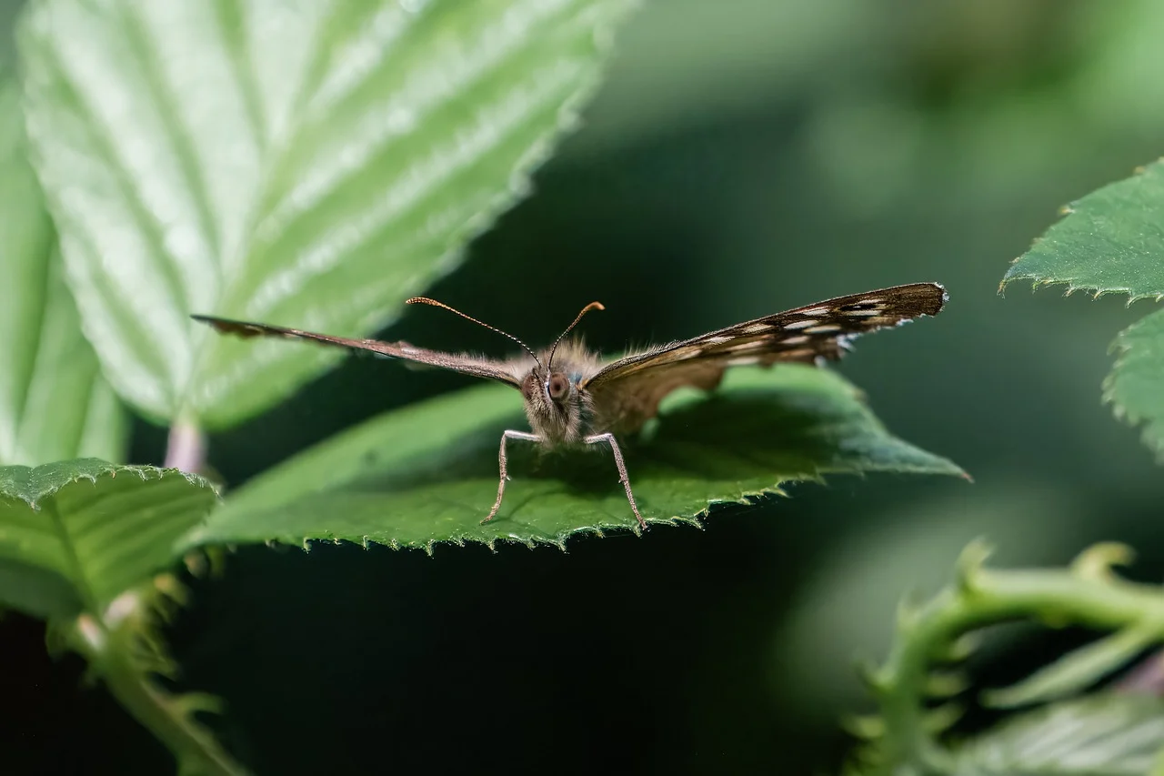 건강보험 자기부담금 환급