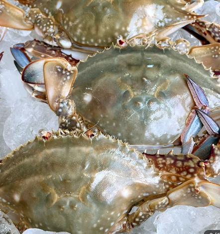 부안 가을 꽃게 택배 주문 방법