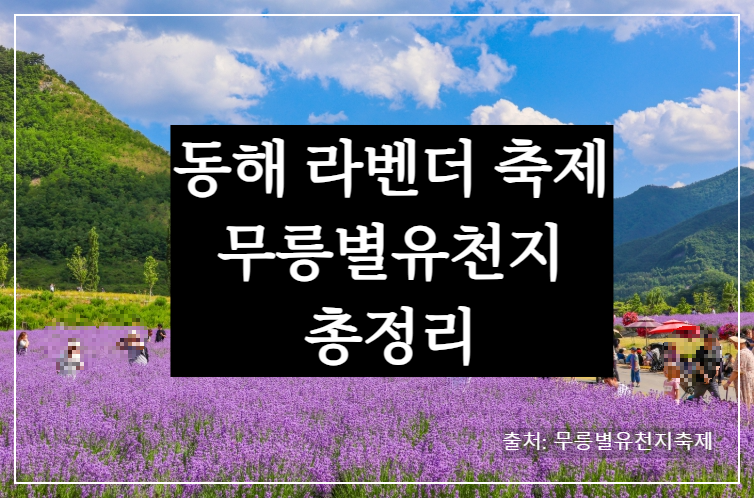 동해 라벤더 축제 무릉별유천지 - 라벤다 향기 가득! 태군노래자랑&middot;버블쇼
