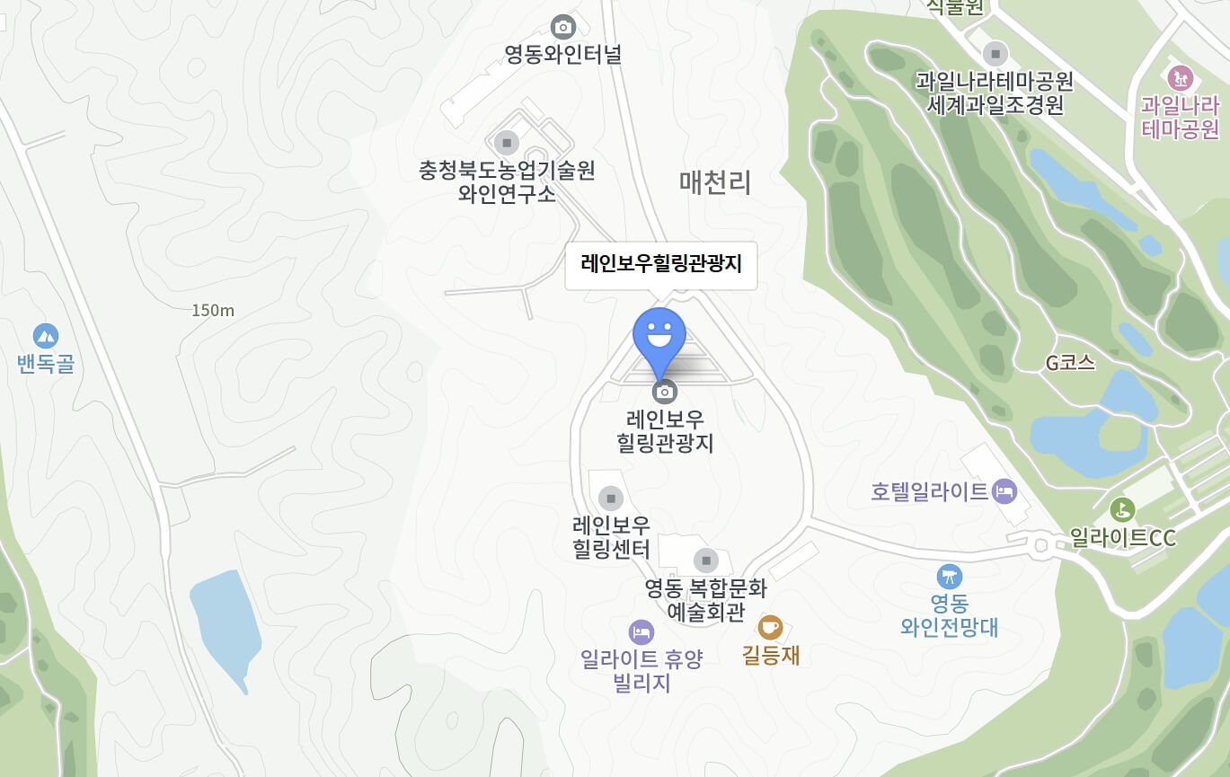 영동포도축제 일정