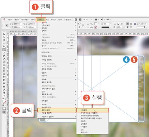 카메라 포커스20