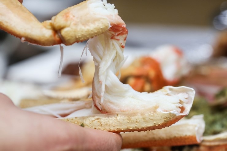 생활의달인-포항-죽도시장-대게달인-사진