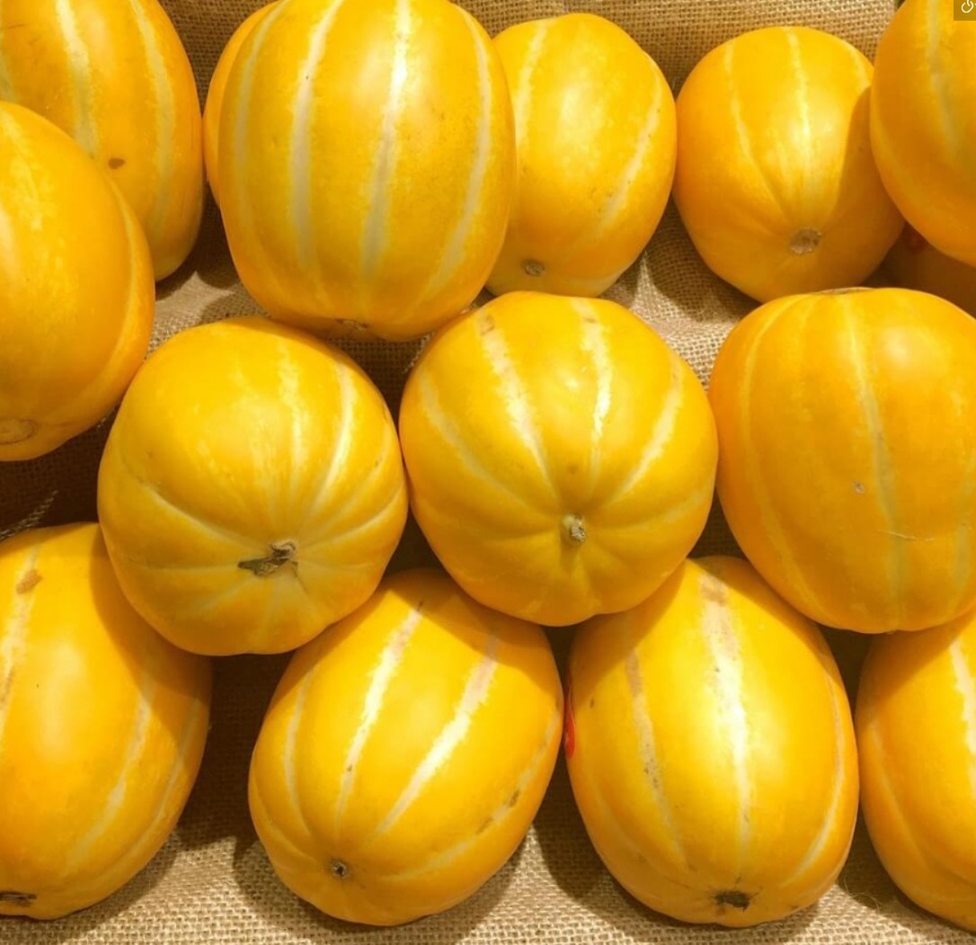 참외는 한국에서만 많이 먹을까?🍈