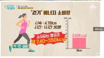 걷기 칼로리 계산기 걸음수 소비 칼로리_7