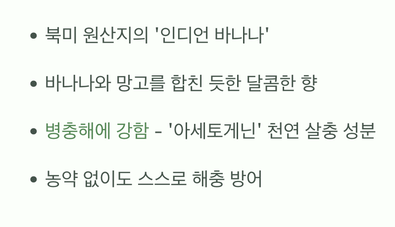 숲속의 버터, 포포나무란?