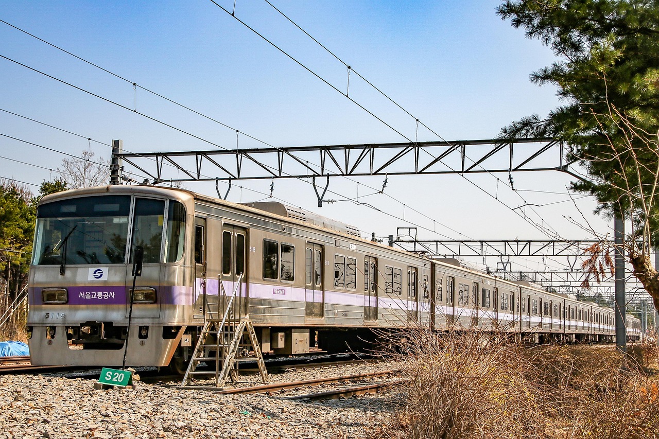 서울 숲 관련 사진