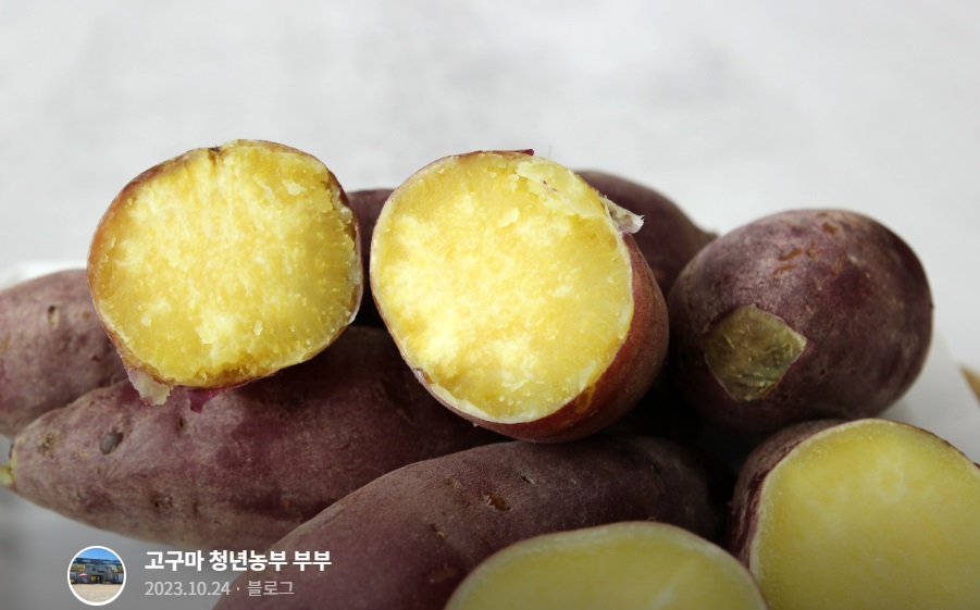 여주-고구마-줄기-땅콩-영자씨네농원