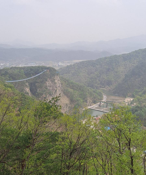 건너왔던 출렁다리