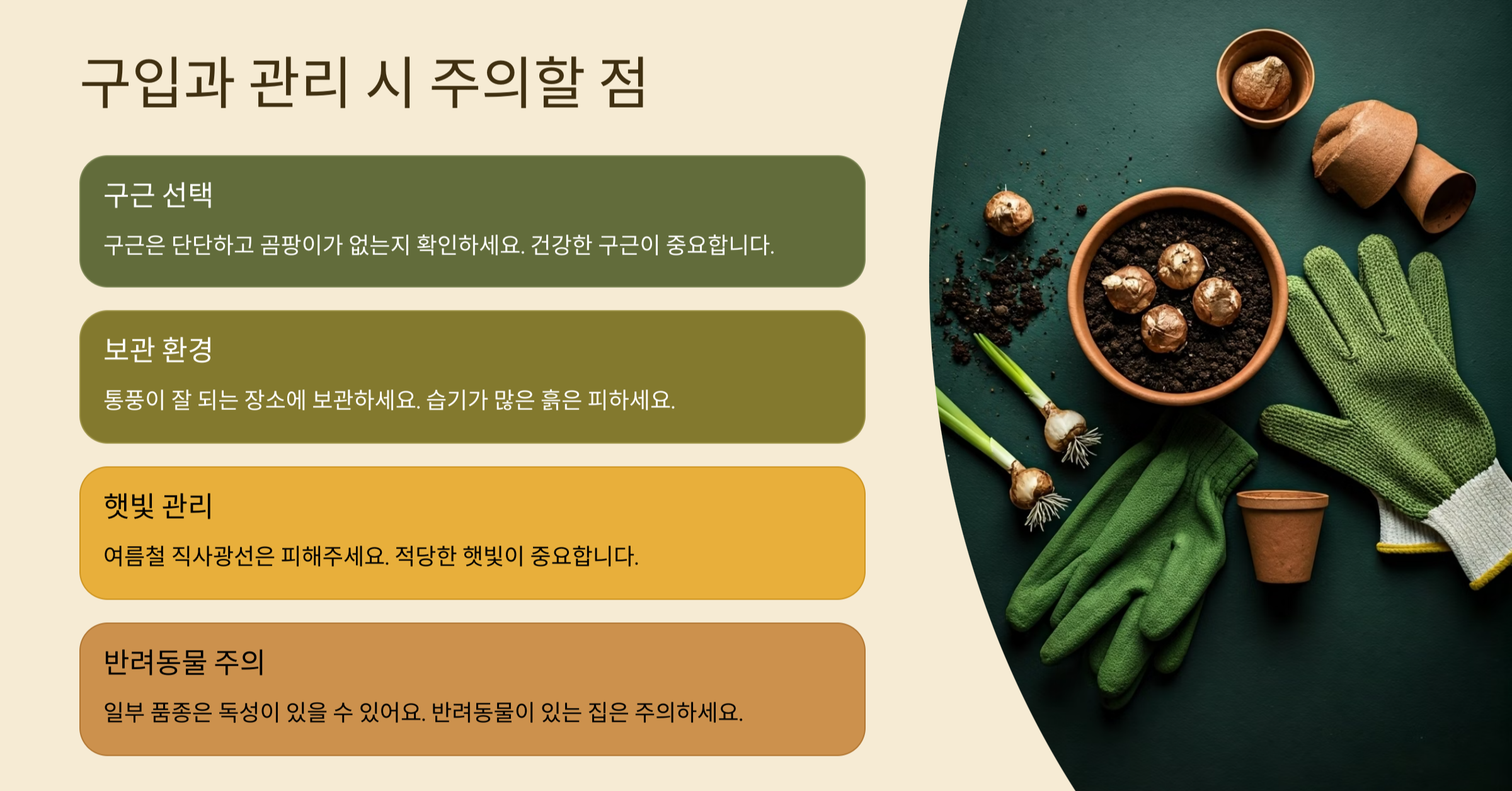 오니소갈룸