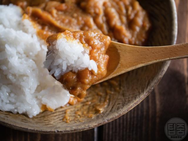 대장내시경 음식 카레 짜장