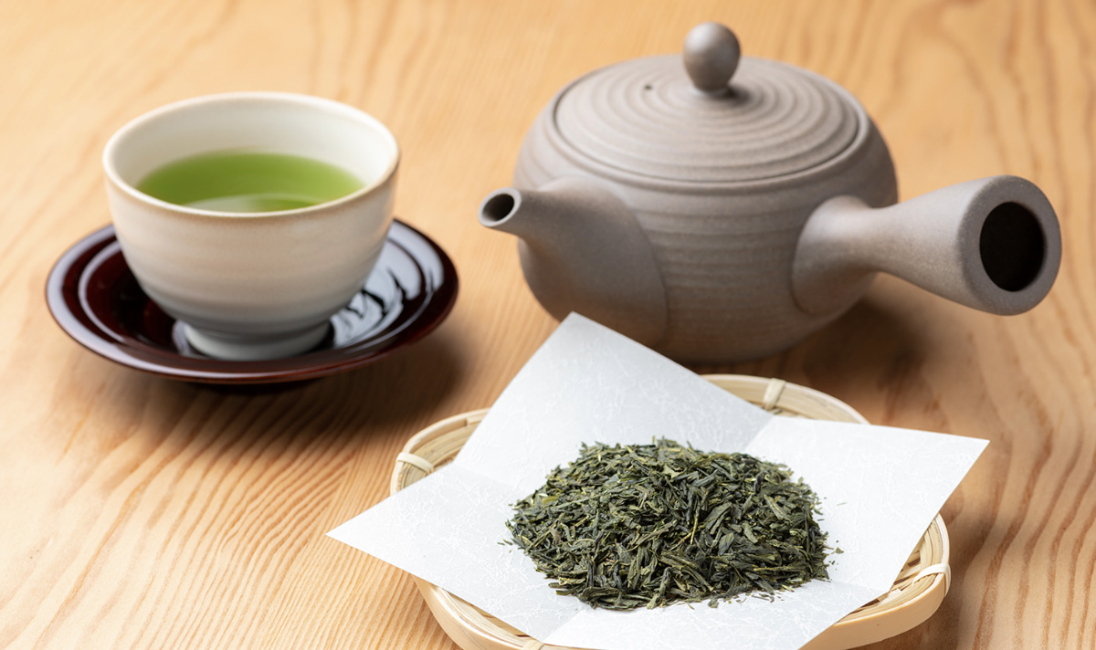 카테킨 효능 부작용 하루 권장량 다이어트 효과