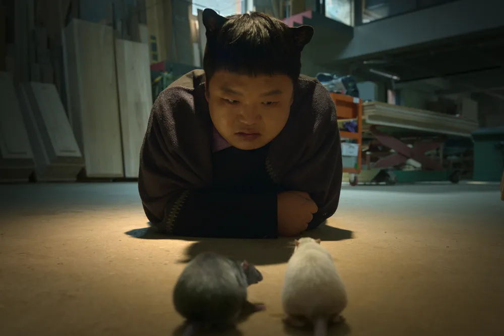 Go Kyu-pil (Sayed)