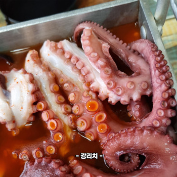 타우린 많은 음식