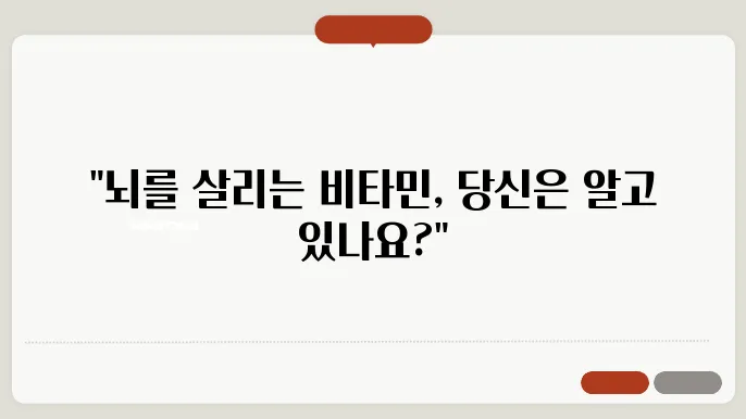 뇌 건강을 위한 비타민