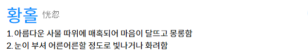 다음 사전 캡처