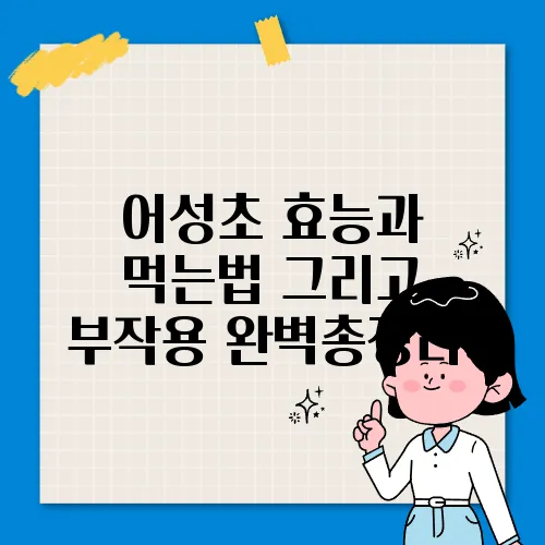 어성초 효능과 먹는법 그리고 부작용 완벽총정리!