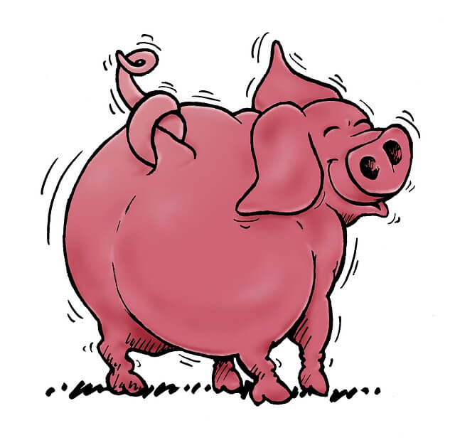 2024년 신년운세 돼지띠 2월 돼지꿈을 꾸었어~