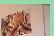 가족요양비, 가족 간병인 분들을 위한 필수 지원금 신청하기